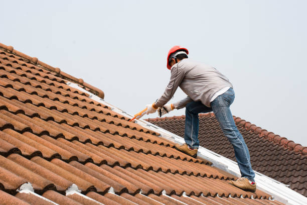 Best Skylight Installation and Repair  in Fort Payne, AL