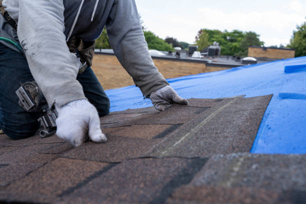 Best Roof Moss and Algae Removal  in Fort Payne, AL
