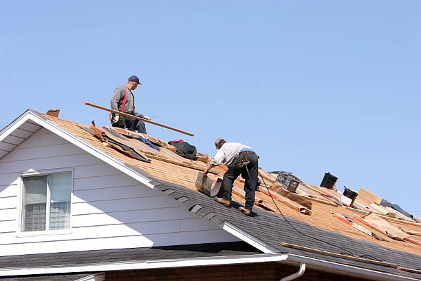 Best Asphalt Shingle Roofing  in Fort Payne, AL
